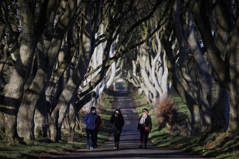 Copacii Dark Hedges folositi la filmarile pentru „Game of Thrones”, Foto: Liam McBurney / PA Images / Profimedia