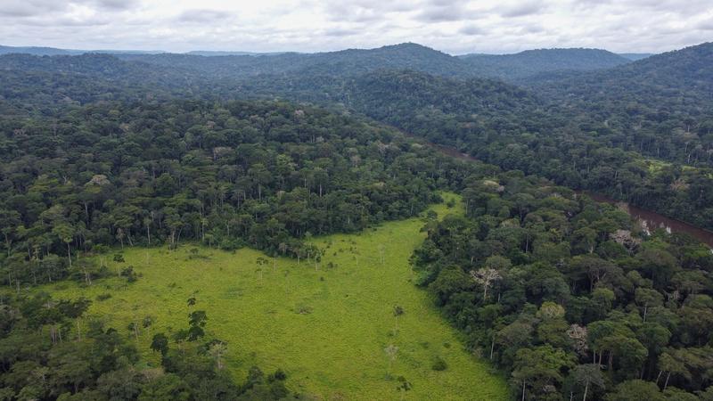 Bazinul fluviului Congo şi pădurea sa tropicală, Foto: Jůnek Tomáš / ČTK / Profimedia