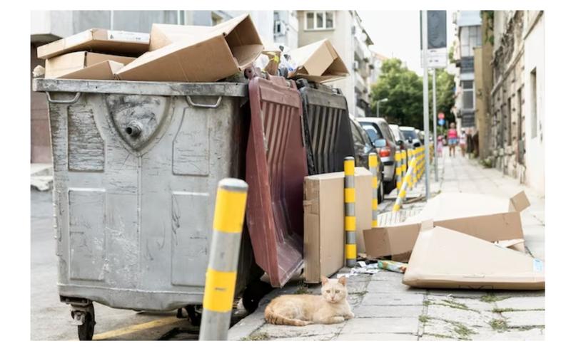 Deșeuri, Foto: freepik.com