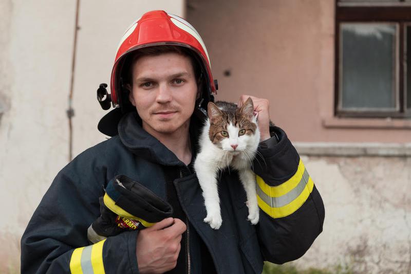 Pompier și o pisică salvată, Foto: DreamsTime