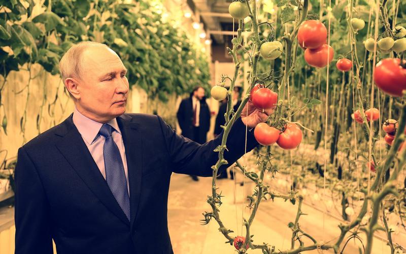 Vladimir Putin a mers in Ciukotka, cea mai apropiata regiune rusa de SUA, Foto: Gavriil Grigorov / AFP / Profimedia Images