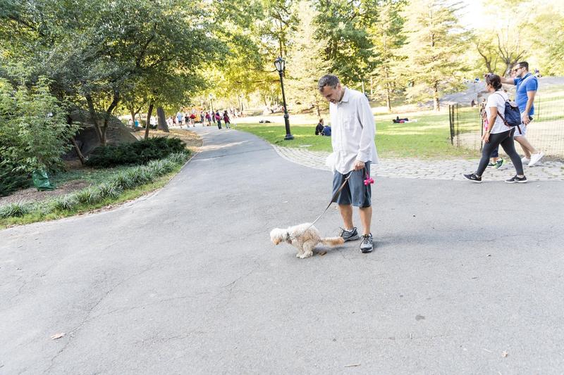 Un caine cu stapanul sau, Foto: Greg Gard / Alamy / Profimedia Images