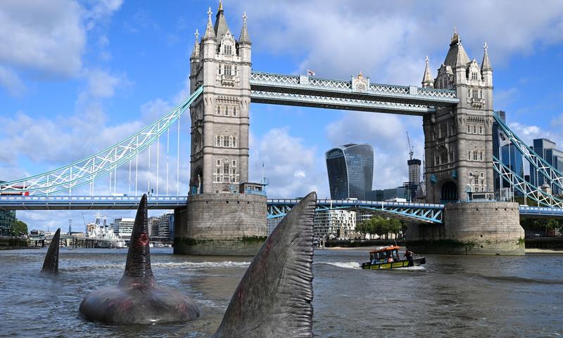 Cum ar fi fost vazut un Megalodon in raul Tamisa in ziua de azi, Foto: Anthony Harvey / Shutterstock Editorial / Profimedia