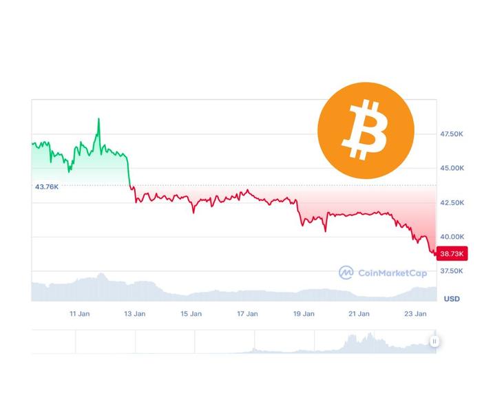 bitcoin-evolutie-ianuarie 2024, Foto: coinmarketcap.com