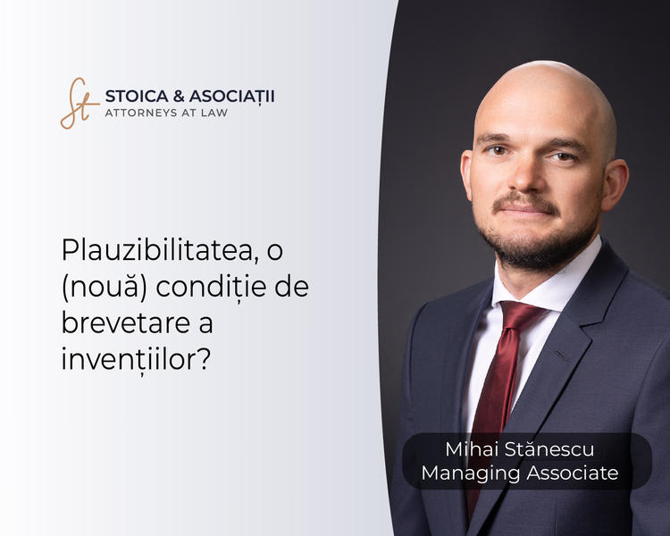 Mihai Stănescu, Foto: STOICA & ASOCIATII