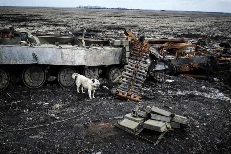 Blindate rusesti distruse, Foto: Dimitar DILKOFF / AFP / Profimedia