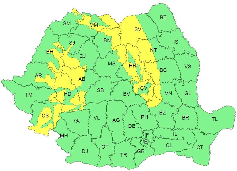 Cod galben, Foto: ANM