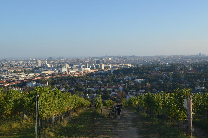 Verdeață la marginea orașului, Foto: Alina Cristea / Panorama.ro