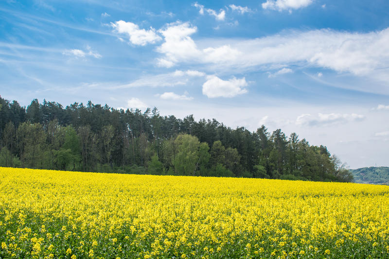 natura, Foto: Dreamstime