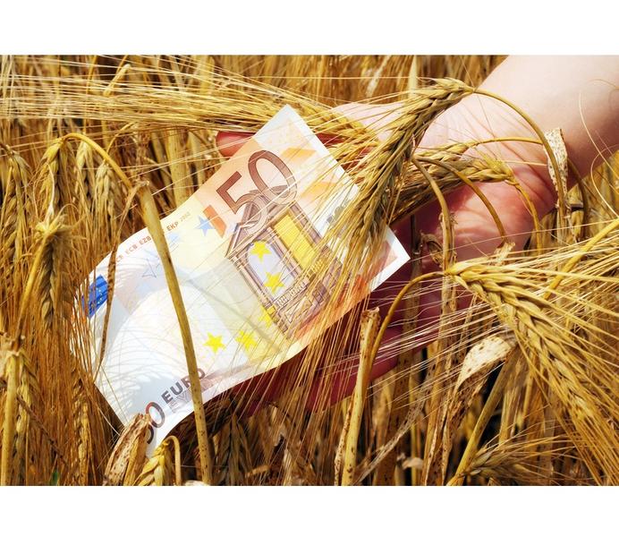 bani-euro-grau, Foto: Dreamstime
