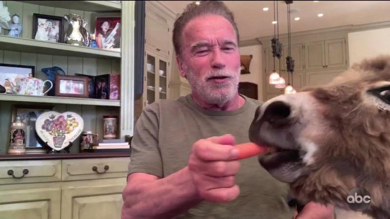 Arnold Schwarzenegger, Foto: ABC / Backgrid UK / Profimedia Images