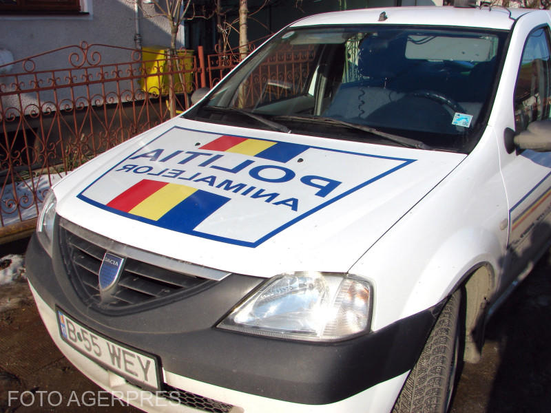 Poliția Animalelor, Foto: AGERPRES