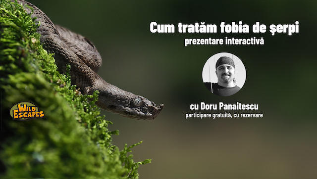Cum tratăm fobia de șerpi, Foto: Doru Panaitescu