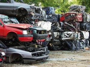 Rable, Foto: Marko583, Dreamstime.com