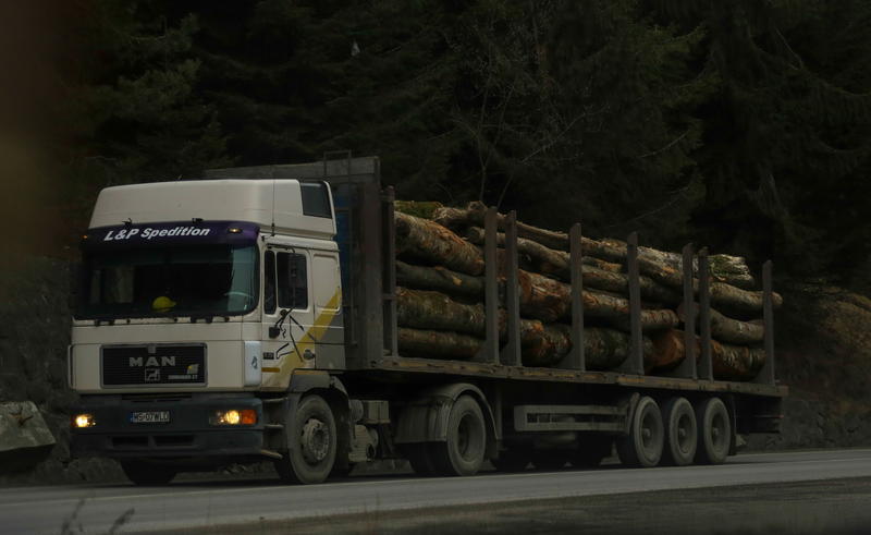 Transport de lemne, Foto: Inquam Photos / Tudor Costache
