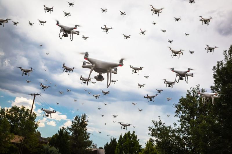 Un roi de drone, Foto: Feverpitched, Dreamstime.com