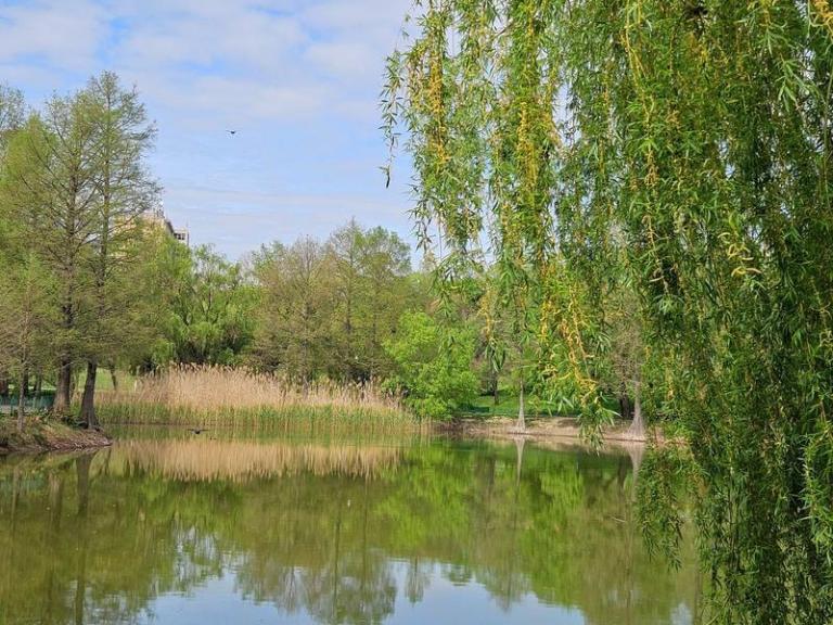 Peisaj de primavara, Foto: Vlad Barza / HotNews.ro