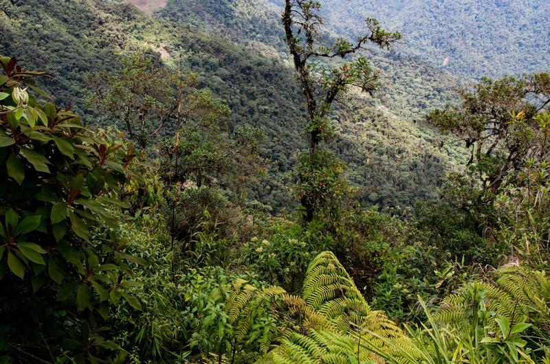 Peru, Foto: J.Enrique Molina / Alamy / Alamy / Profimedia