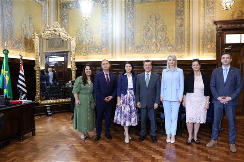 Alina Gorghiu, Alex Florenta si Corina Corbu, în Brazilia, Foto: Tribunal Sao Paulo