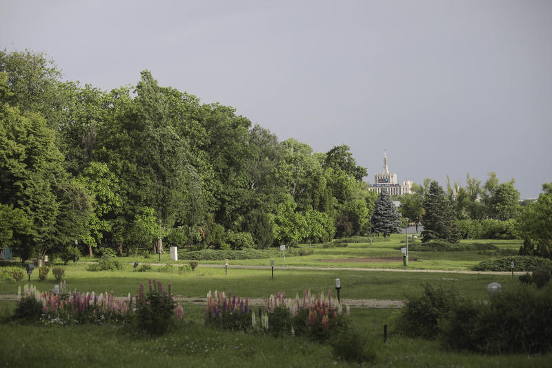 Parcul Herăstrău, Foto: Inquam Photos / Octav Ganea