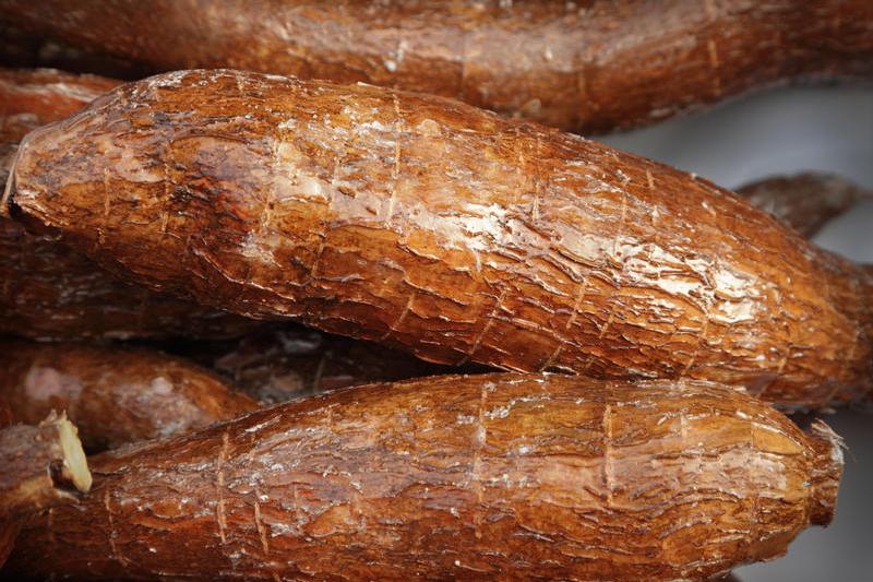 Manioc, Foto: Adisa | Dreamstime.com