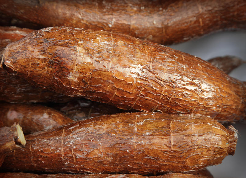 Manioc, Foto: Adisa | Dreamstime.com