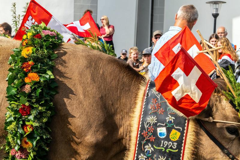 Elvetieni, Foto: Michal Sikorski / Alamy / Profimedia Images