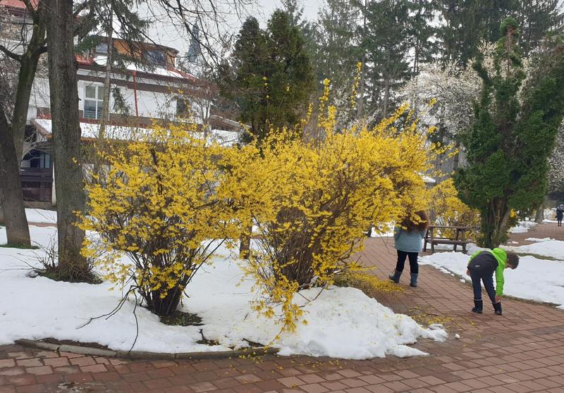 Zapada de primavara, Foto: Vlad Barza / HotNews.ro