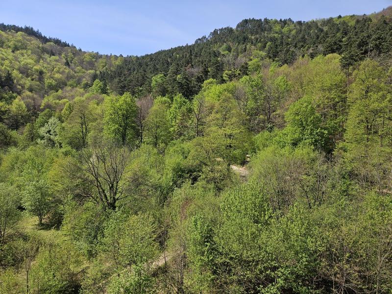 Peisaj de aprilie, Foto: Vlad Barza / HotNews.ro