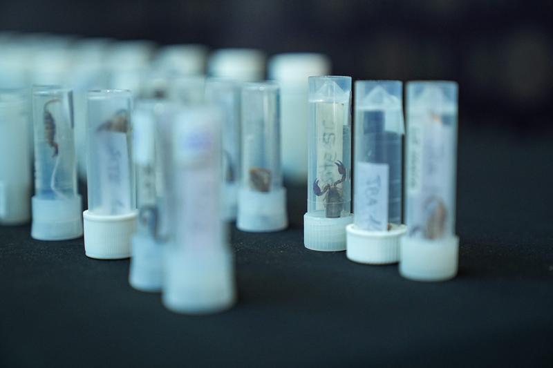 Politia turca a publicat imagini cu captura facuta, Foto: AA / Abaca Press / Profimedia