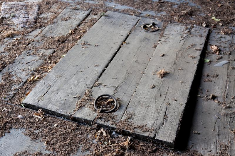 pivnita, Foto: Andrea Bakacs / ImageSource / Profimedia