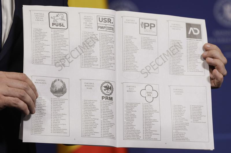 Alegerile europarlamentare, Foto: Inquam Photos / Octav Ganea