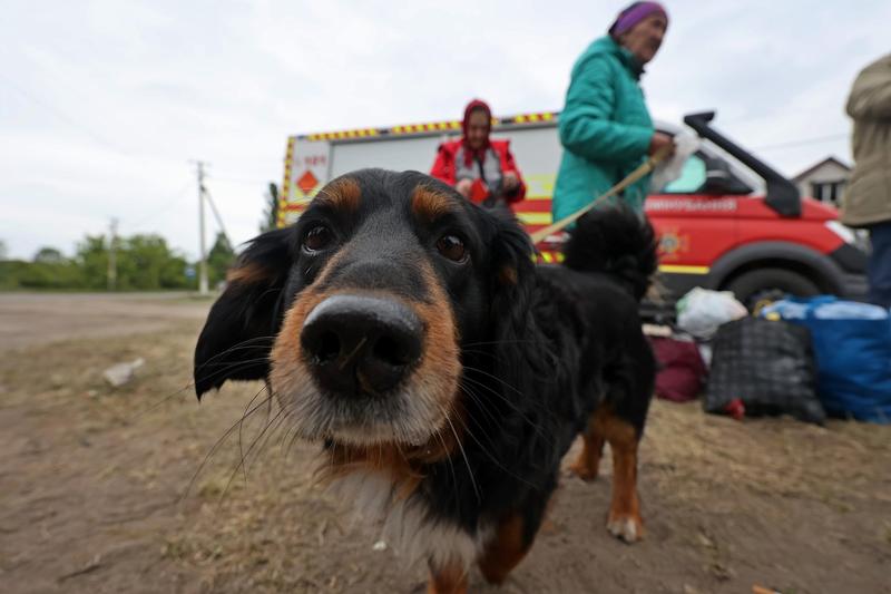 Război în Ucraina: Civili evacuați din Vovchansk, regiunea Harkov, Foto: Vyacheslav Madiyevskyy / Zuma Press / Profimedia