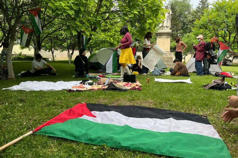 Protestatarii au pus steaguri ale Palestinei în jurul lor, Foto: David Leonard Bularca / Hotnews
