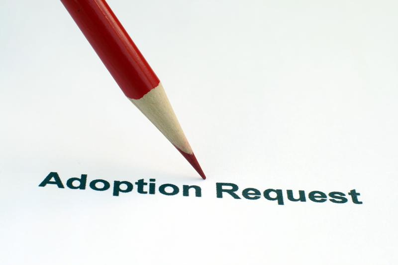 Imagine generala cu o cerere de adoptie, Foto: Alex Stojanov / Alamy / Alamy / Profimedia