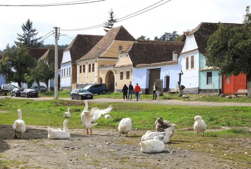 Satul Viscri, Transilvania, Foto: Monica Wells / Alamy/ Profimedia