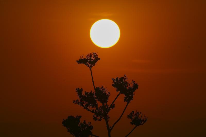 Rasarit de soare, Foto: Marco Ugarte / Associated Press / Profimedia Images