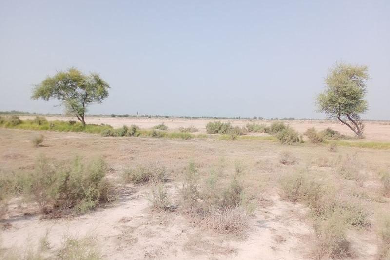 Peisaj din provincia Sindh, Pakistan, Foto: Sadaqat Ali, Dreamstime.com
