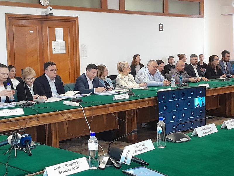 Moment din timpul intalnirii retaileri-producatori din Senat, Foto: HotNews / Dan Popa