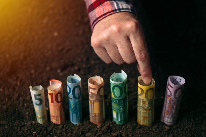 fermier-euro, Foto: Dreamstime