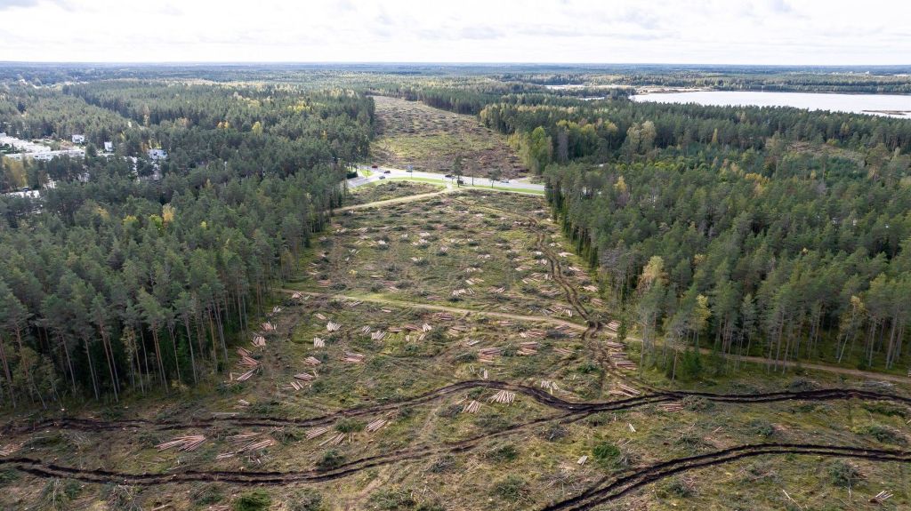 Defrisari pe viitorul traseu Rail Baltica (sursa Sander Ilvest / imago stock&people / Profimedia)