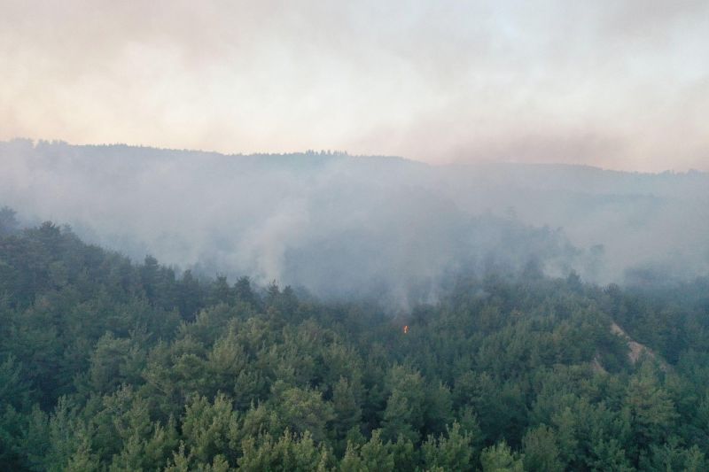 Incendiu de pădure în Defileul Jiului. Zona este foarte greu accesibilă