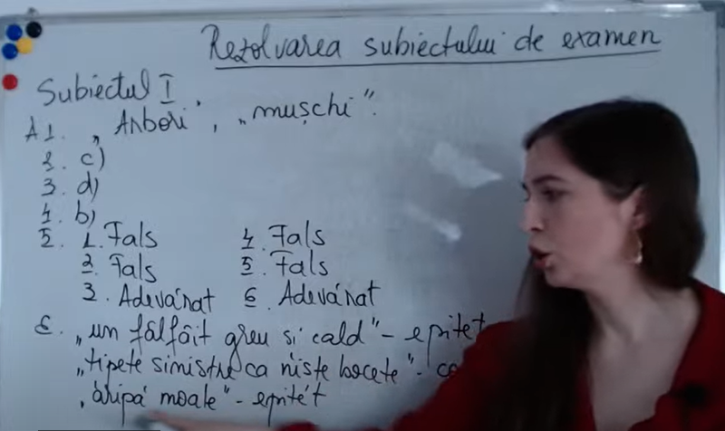 VIDEO Rezolvarea subiectelor la Limba română de la Evaluarea Națională 2024. „Subiectele nu au fost dificile, dar au existat câteva provocări la anumite exerciții”