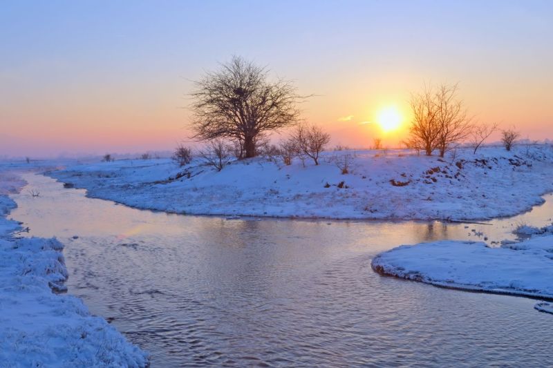 Frig, îngheț și foamete – Misterul celei mai reci ierni din ultimii 600 de ani