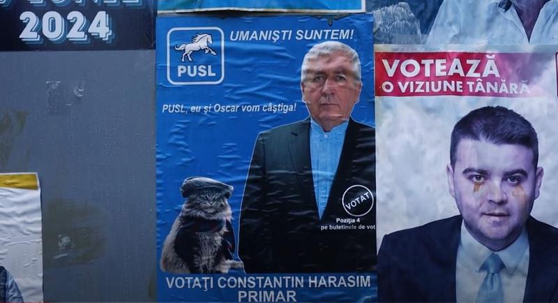 Panou electoral cu motanul Oscar, Foto: captura Youtube Inquam