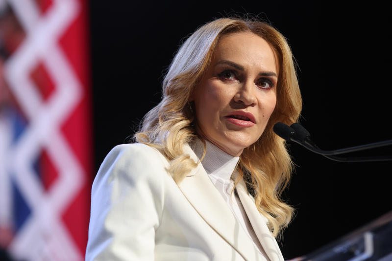 Gabriela Firea, Foto: