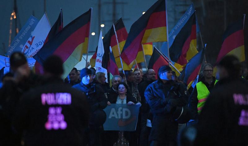 Manifestație antimigratie a AfD, Foto: Stefan Sauer / DPA / Profimedia