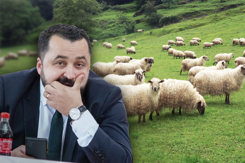 Deputatul Ciprian Ciubuc