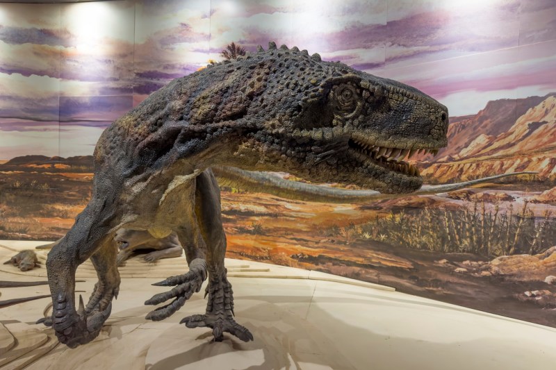 Modelul unui Sanjuansaurus gordilloi, un dinozaur din perioada Triasică, în muzeul din Parcul Provincial Ischigualasto din Argentina. Foto: Jon G. Fuller / VWPics / AP / Profimedia