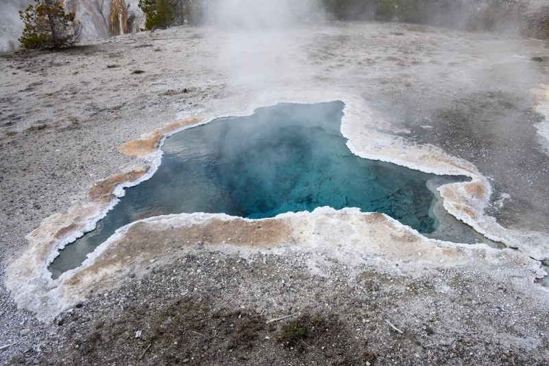 Gheizer în Parcul Național Yellowstone din SUA. FOTO: DR P. MARAZZI / Sciencephoto / Profimedia